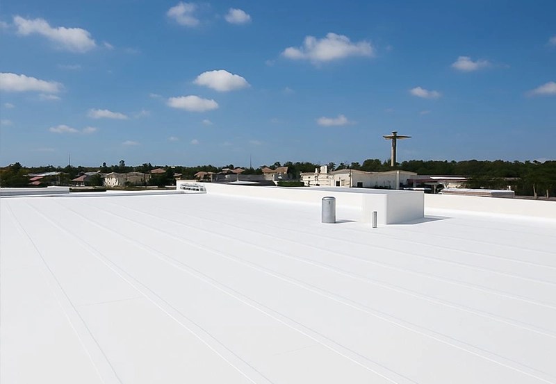 פוליארטני (1)