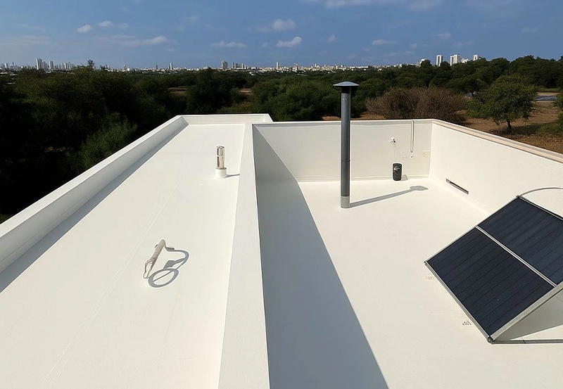 פוליארטני (2)