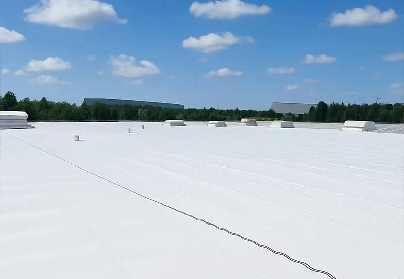 פוליארטני (3)